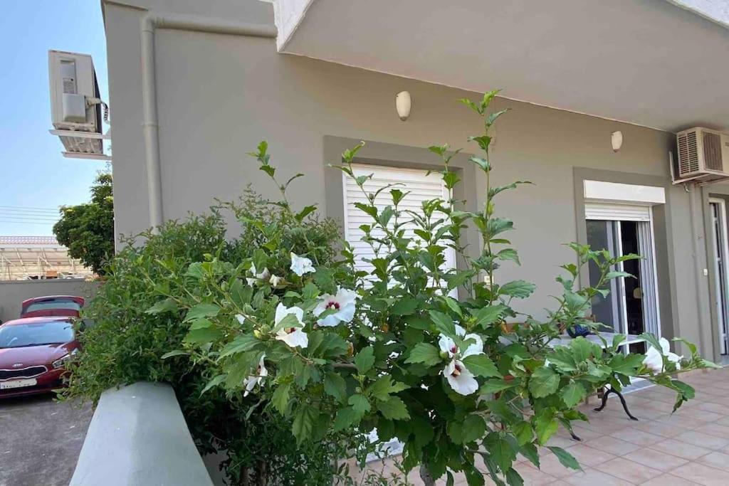 Ilisia Neapoli Apartments 1 Neapoli Voion ภายนอก รูปภาพ